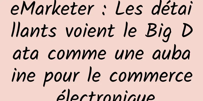 eMarketer : Les détaillants voient le Big Data comme une aubaine pour le commerce électronique