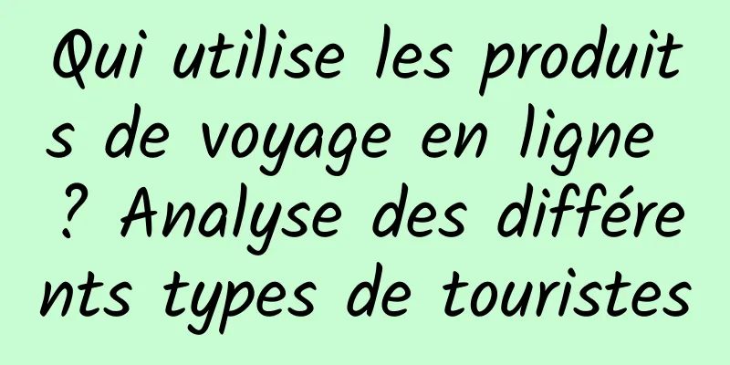 Qui utilise les produits de voyage en ligne ? Analyse des différents types de touristes