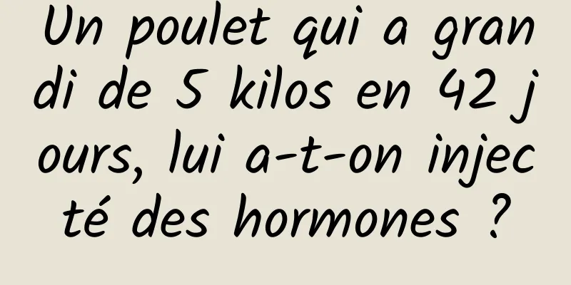 Un poulet qui a grandi de 5 kilos en 42 jours, lui a-t-on injecté des hormones ?