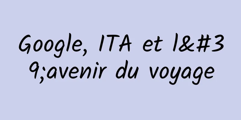 Google, ITA et l'avenir du voyage