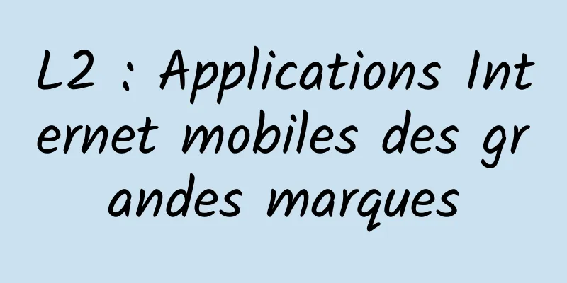 L2 : Applications Internet mobiles des grandes marques