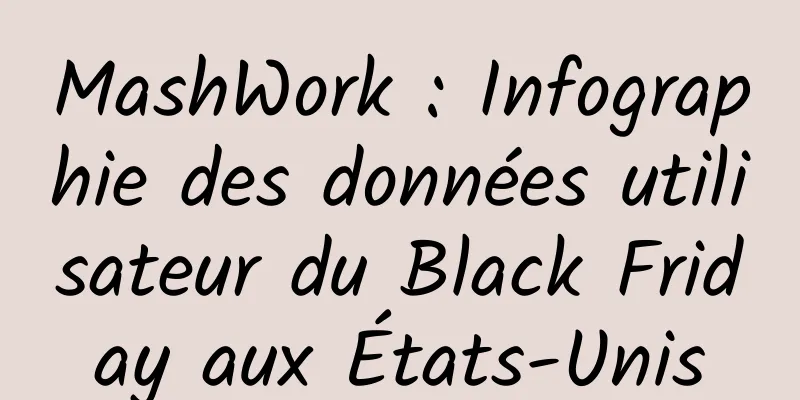 MashWork : Infographie des données utilisateur du Black Friday aux États-Unis