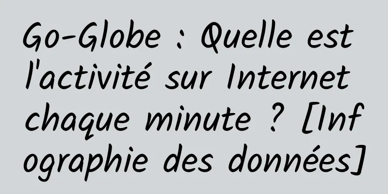 Go-Globe : Quelle est l'activité sur Internet chaque minute ? [Infographie des données]