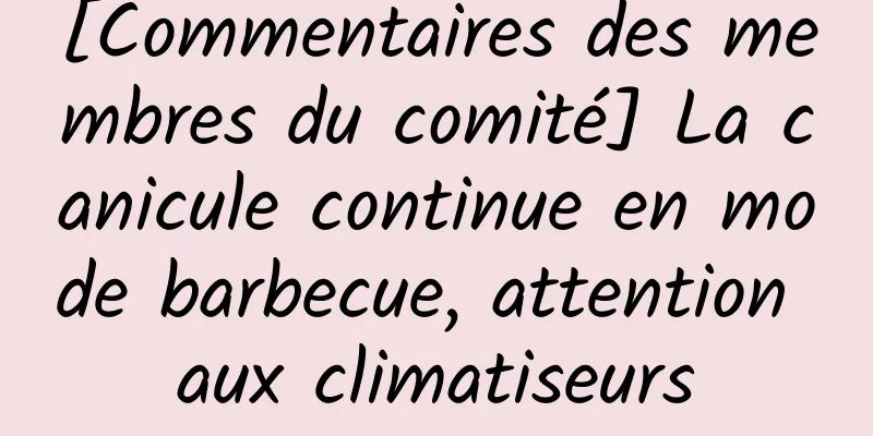 [Commentaires des membres du comité] La canicule continue en mode barbecue, attention aux climatiseurs
