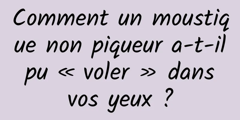 Comment un moustique non piqueur a-t-il pu « voler » dans vos yeux ?