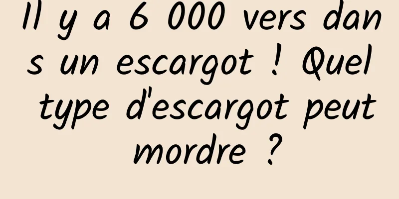 Il y a 6 000 vers dans un escargot ! Quel type d'escargot peut mordre ?