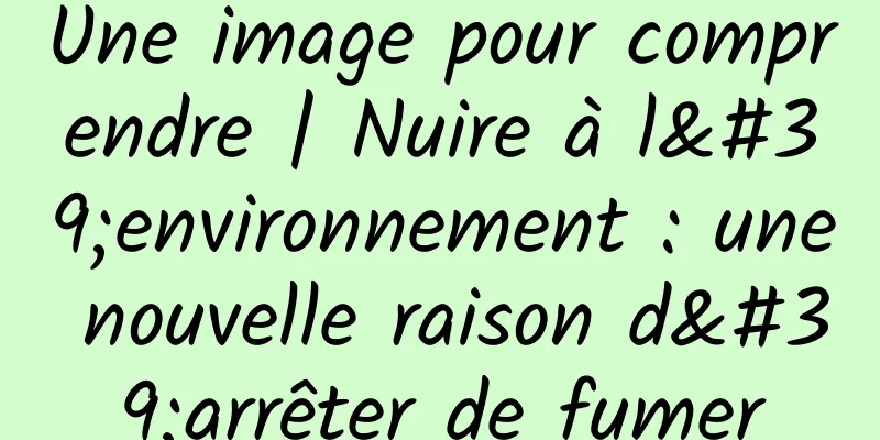 Une image pour comprendre | Nuire à l'environnement : une nouvelle raison d'arrêter de fumer