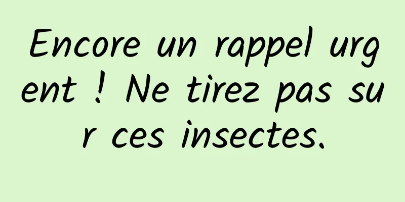 Encore un rappel urgent ! Ne tirez pas sur ces insectes.