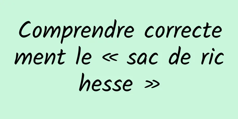 Comprendre correctement le « sac de richesse »