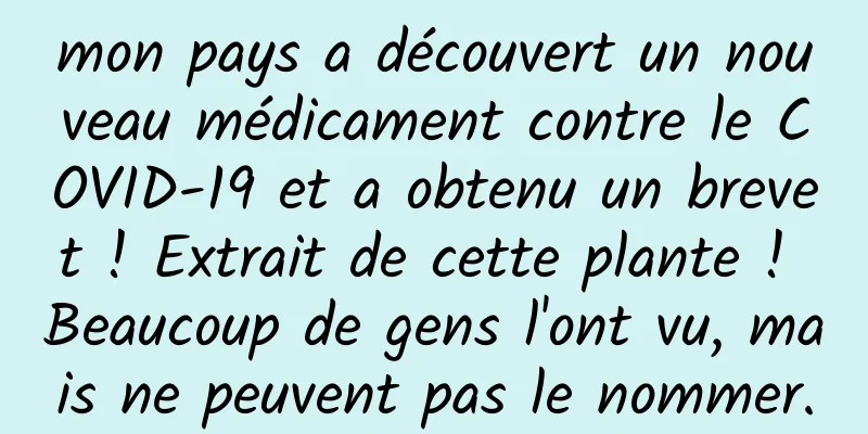 mon pays a découvert un nouveau médicament contre le COVID-19 et a obtenu un brevet ! Extrait de cette plante ! Beaucoup de gens l'ont vu, mais ne peuvent pas le nommer.