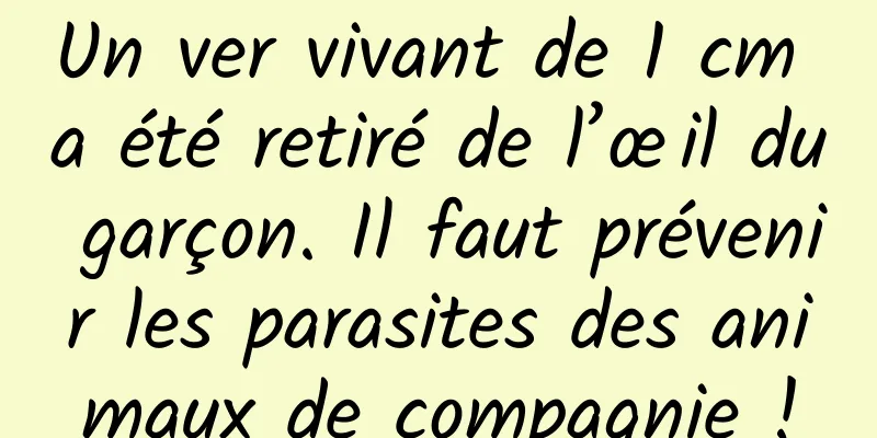 Un ver vivant de 1 cm a été retiré de l’œil du garçon. Il faut prévenir les parasites des animaux de compagnie !