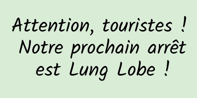 Attention, touristes ! Notre prochain arrêt est Lung Lobe !