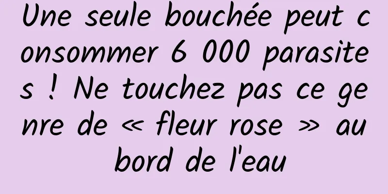 Une seule bouchée peut consommer 6 000 parasites ! Ne touchez pas ce genre de « fleur rose » au bord de l'eau