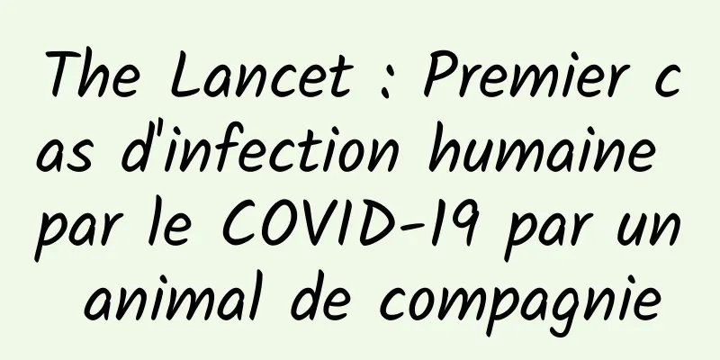 The Lancet : Premier cas d'infection humaine par le COVID-19 par un animal de compagnie