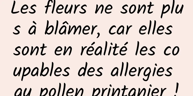 Les fleurs ne sont plus à blâmer, car elles sont en réalité les coupables des allergies au pollen printanier !