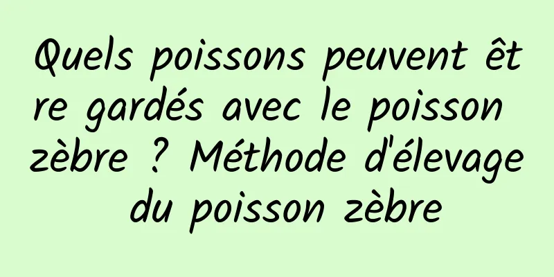 Quels poissons peuvent être gardés avec le poisson zèbre ? Méthode d'élevage du poisson zèbre