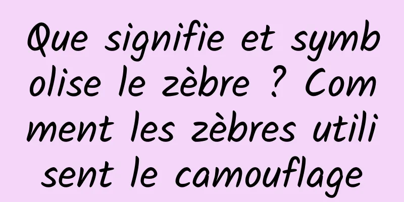 Que signifie et symbolise le zèbre ? Comment les zèbres utilisent le camouflage