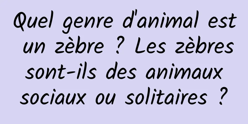 Quel genre d'animal est un zèbre ? Les zèbres sont-ils des animaux sociaux ou solitaires ?