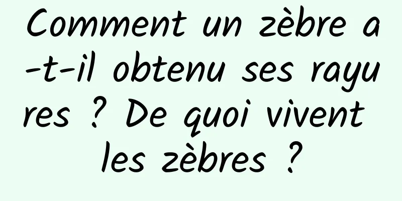 Comment un zèbre a-t-il obtenu ses rayures ? De quoi vivent les zèbres ?