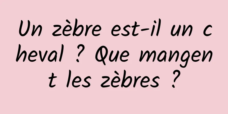 Un zèbre est-il un cheval ? Que mangent les zèbres ?