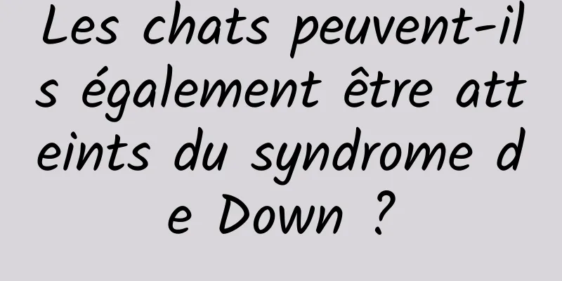 Les chats peuvent-ils également être atteints du syndrome de Down ?