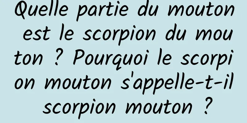 Quelle partie du mouton est le scorpion du mouton ? Pourquoi le scorpion mouton s'appelle-t-il scorpion mouton ?