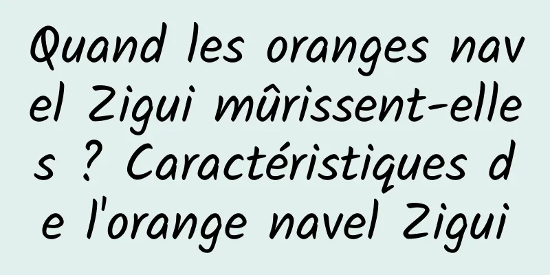 Quand les oranges navel Zigui mûrissent-elles ? Caractéristiques de l'orange navel Zigui