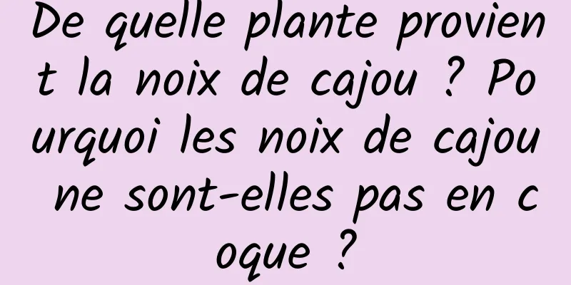 De quelle plante provient la noix de cajou ? Pourquoi les noix de cajou ne sont-elles pas en coque ?