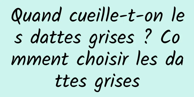 Quand cueille-t-on les dattes grises ? Comment choisir les dattes grises