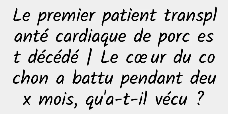 Le premier patient transplanté cardiaque de porc est décédé | Le cœur du cochon a battu pendant deux mois, qu'a-t-il vécu ?