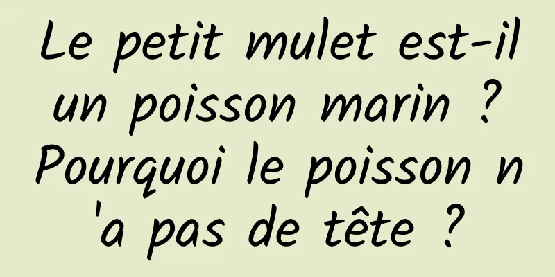 Le petit mulet est-il un poisson marin ? Pourquoi le poisson n'a pas de tête ?