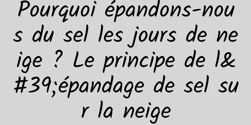Pourquoi épandons-nous du sel les jours de neige ? Le principe de l'épandage de sel sur la neige