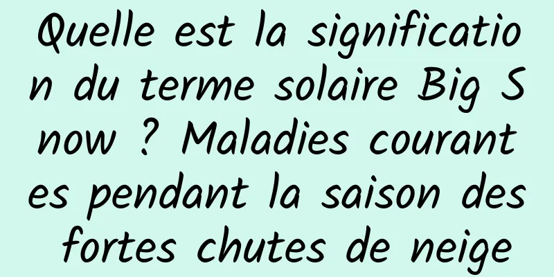 Quelle est la signification du terme solaire Big Snow ? Maladies courantes pendant la saison des fortes chutes de neige