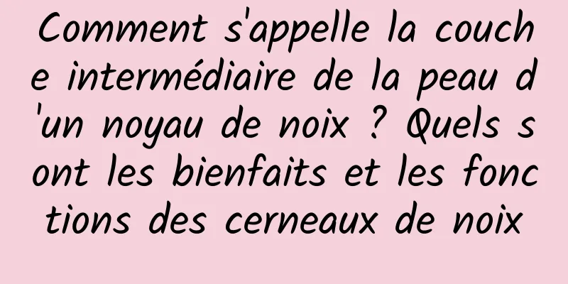 Comment s'appelle la couche intermédiaire de la peau d'un noyau de noix ? Quels sont les bienfaits et les fonctions des cerneaux de noix