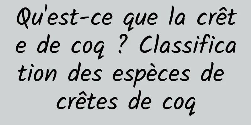 Qu'est-ce que la crête de coq ? Classification des espèces de crêtes de coq
