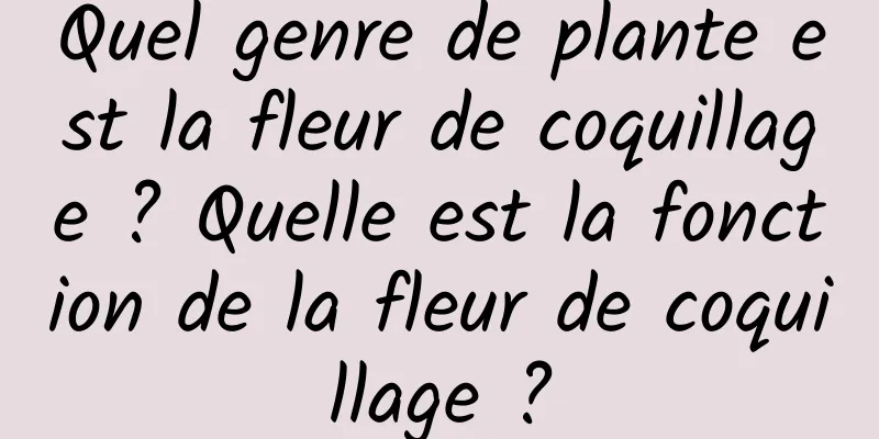 Quel genre de plante est la fleur de coquillage ? Quelle est la fonction de la fleur de coquillage ?