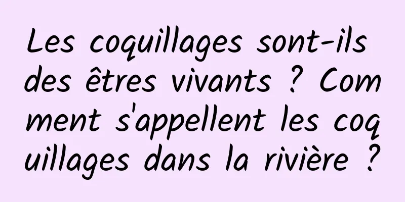 Les coquillages sont-ils des êtres vivants ? Comment s'appellent les coquillages dans la rivière ?