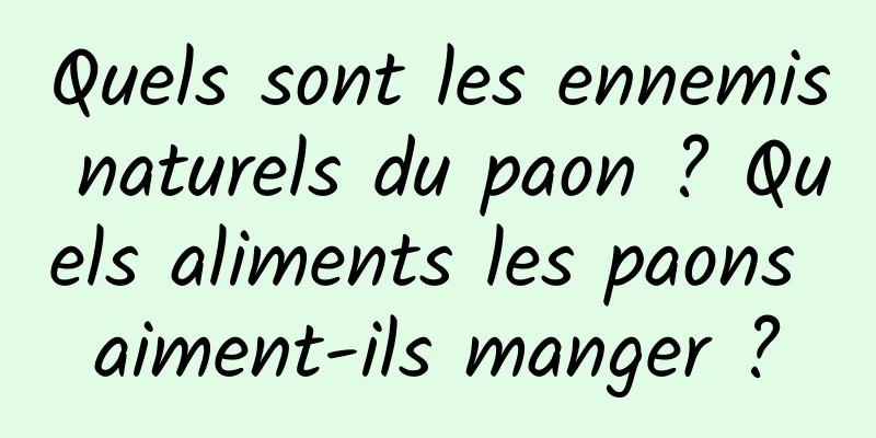 Quels sont les ennemis naturels du paon ? Quels aliments les paons aiment-ils manger ?