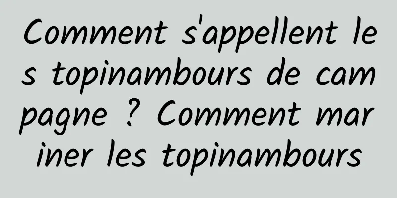 Comment s'appellent les topinambours de campagne ? Comment mariner les topinambours