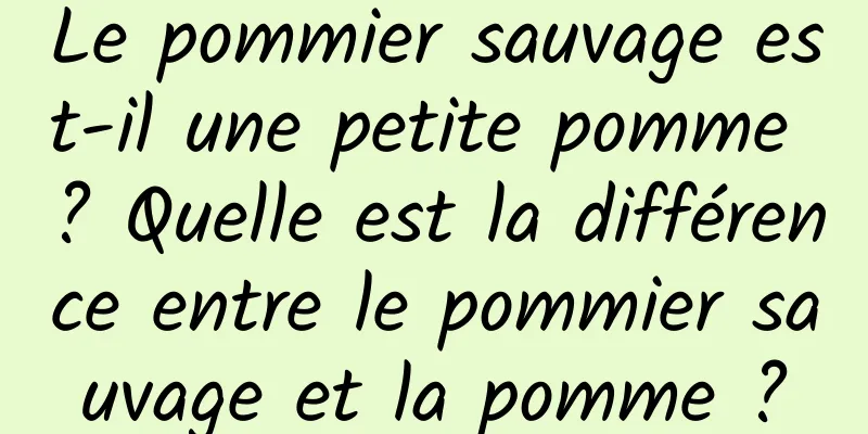 Le pommier sauvage est-il une petite pomme ? Quelle est la différence entre le pommier sauvage et la pomme ?