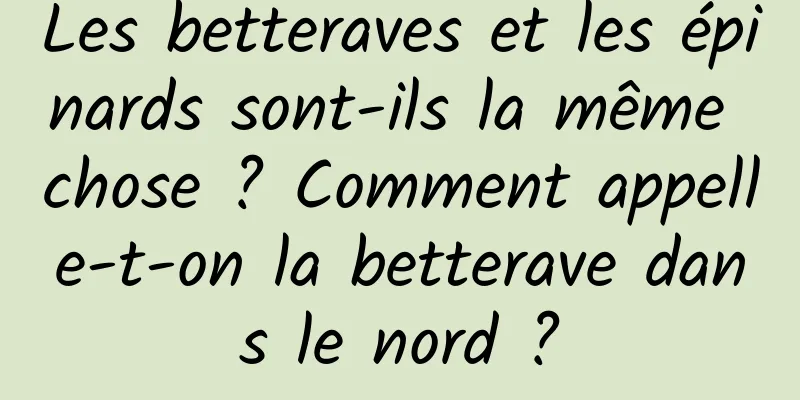 Les betteraves et les épinards sont-ils la même chose ? Comment appelle-t-on la betterave dans le nord ?