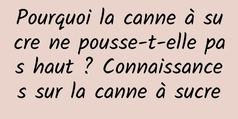 Pourquoi la canne à sucre ne pousse-t-elle pas haut ? Connaissances sur la canne à sucre