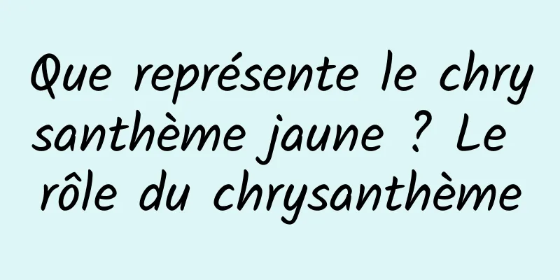 Que représente le chrysanthème jaune ? Le rôle du chrysanthème