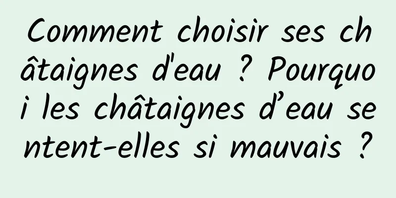 Comment choisir ses châtaignes d'eau ? Pourquoi les châtaignes d’eau sentent-elles si mauvais ?