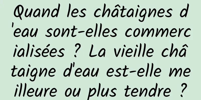 Quand les châtaignes d'eau sont-elles commercialisées ? La vieille châtaigne d'eau est-elle meilleure ou plus tendre ?