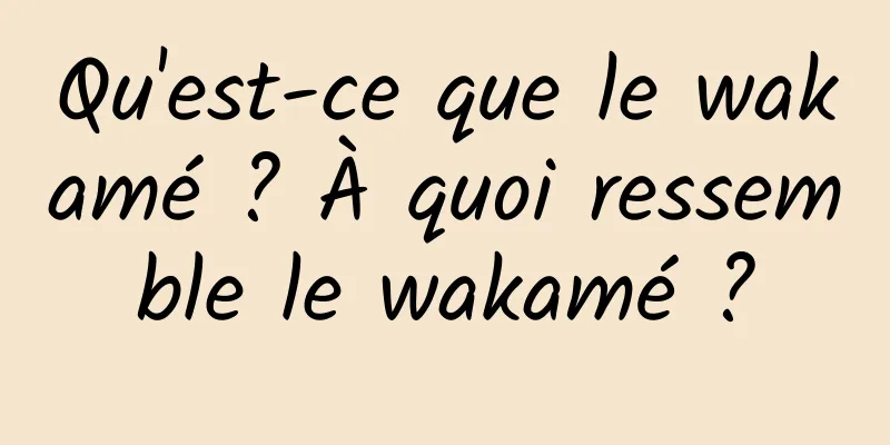 Qu'est-ce que le wakamé ? À quoi ressemble le wakamé ?