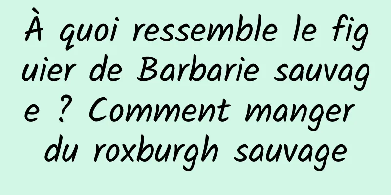 À quoi ressemble le figuier de Barbarie sauvage ? Comment manger du roxburgh sauvage
