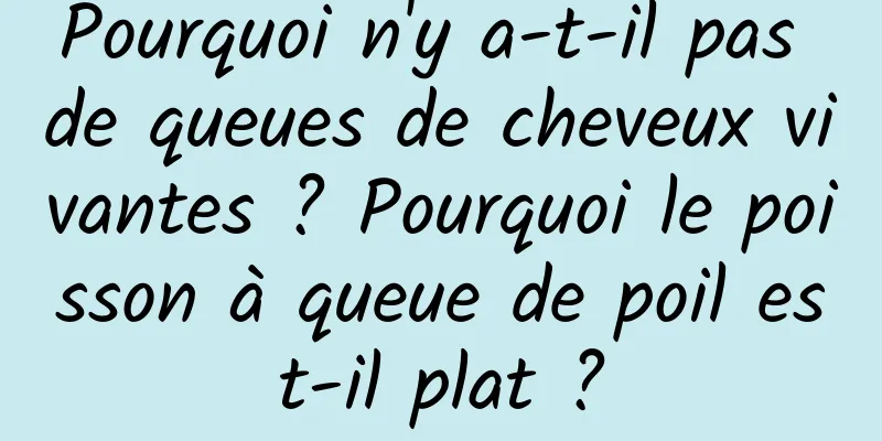 Pourquoi n'y a-t-il pas de queues de cheveux vivantes ? Pourquoi le poisson à queue de poil est-il plat ?