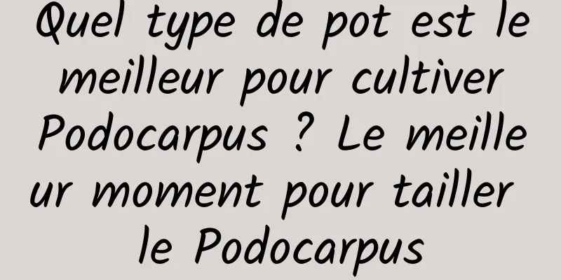 Quel type de pot est le meilleur pour cultiver Podocarpus ? Le meilleur moment pour tailler le Podocarpus