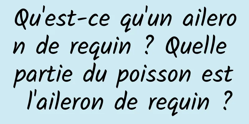 Qu'est-ce qu'un aileron de requin ? Quelle partie du poisson est l'aileron de requin ?